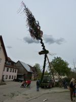 2015-04-30 TTC Maibaum stellen 032 (P1090092)